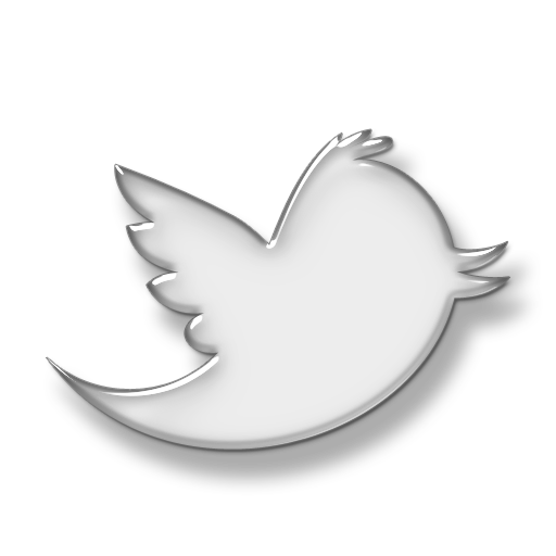 new-twitter-bird